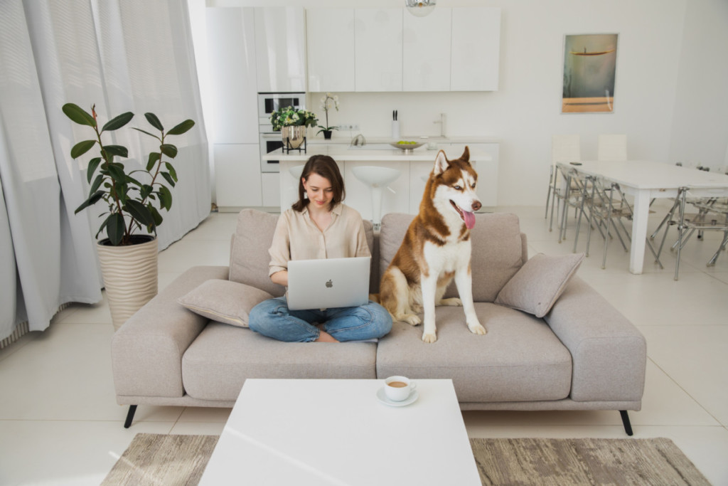 what-is-pet-liability-insurance-for-renters