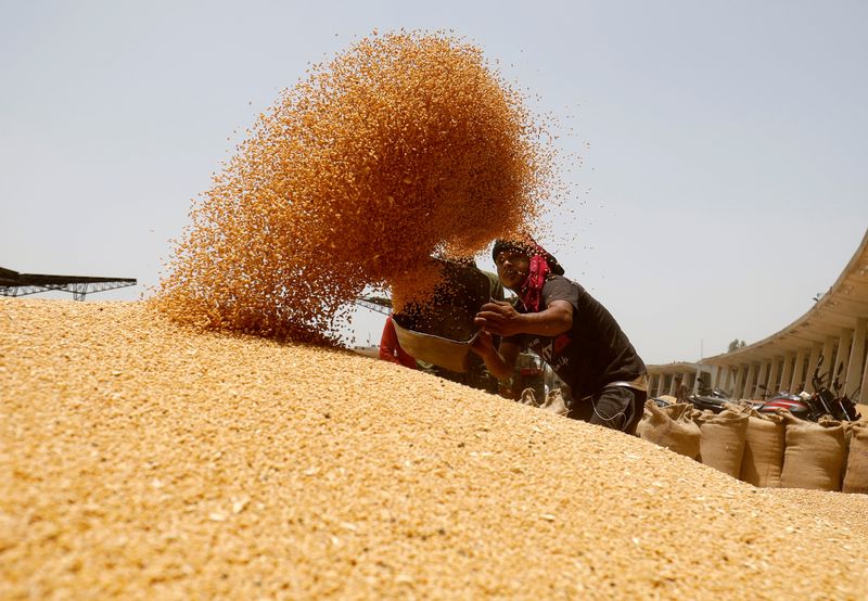 india-imposes-wheat-stock-limit-to-arrest-price-rise