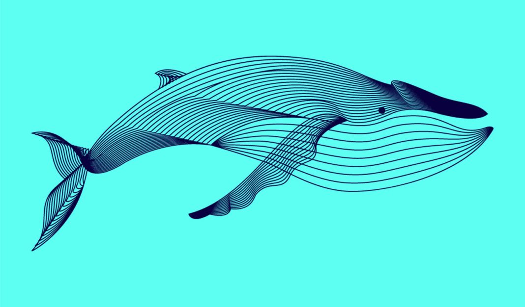crypto-whale-with-$158,180,000-worth-of-chainlink-starts-sending-link-to-binance:-lookonchain